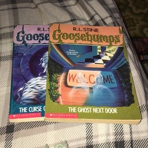 Two goose bumps book